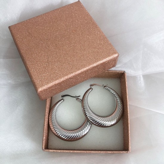 Oorbellen statement gestreept zilver