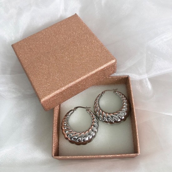 Oorbellen twist zilver