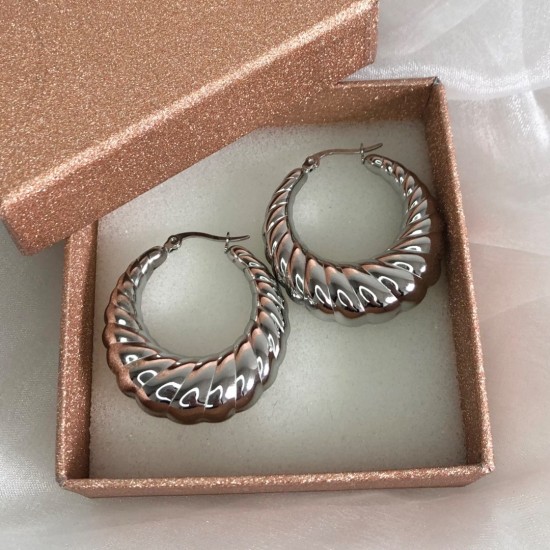 Oorbellen twist zilver